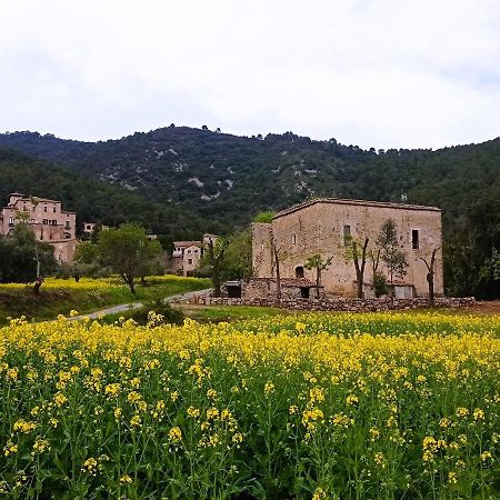 El Castell De Seguero Apartment Beuda Bagian luar foto
