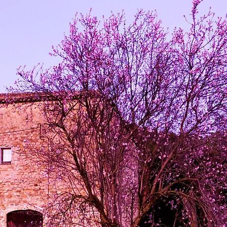 El Castell De Seguero Apartment Beuda Bagian luar foto