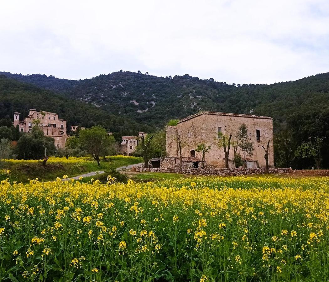 El Castell De Seguero Apartment Beuda Bagian luar foto