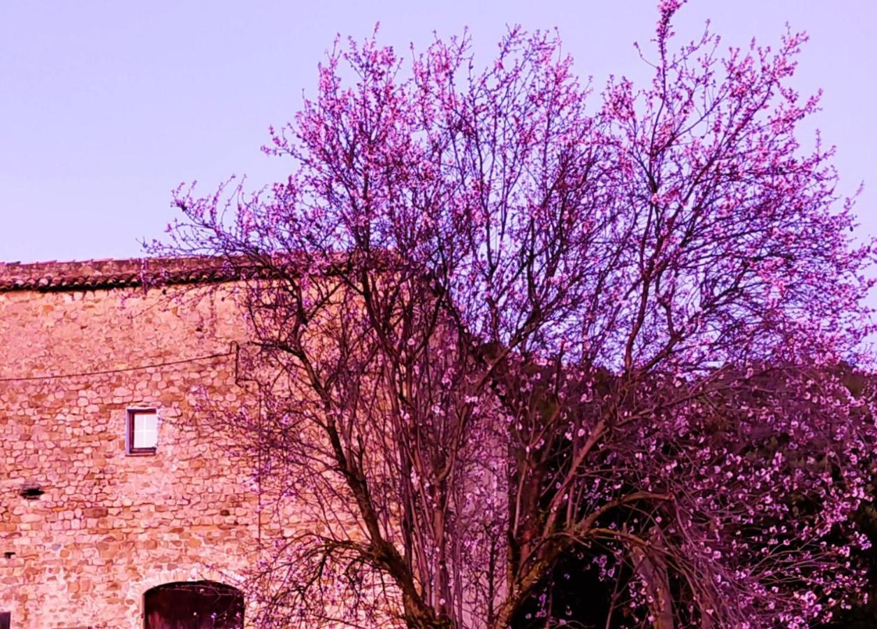 El Castell De Seguero Apartment Beuda Bagian luar foto